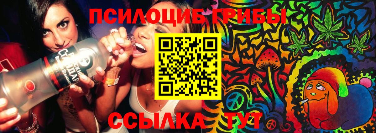 Мончегорск  Псилоцибиновые грибы ЛСД  Вход с VPN 